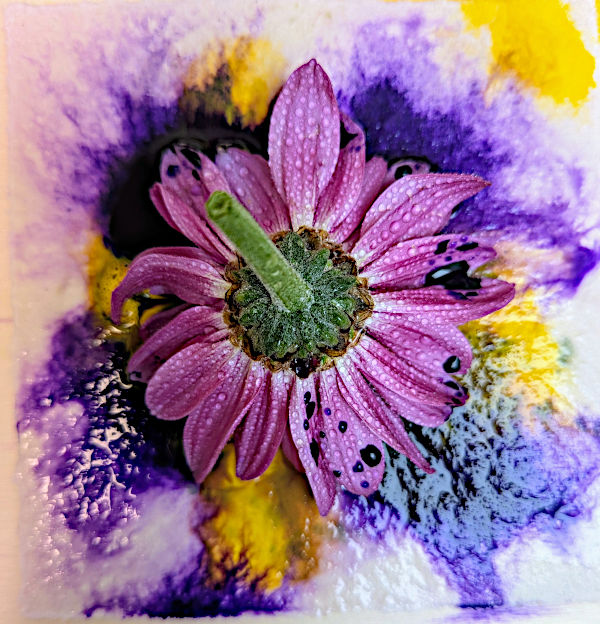 Bild: Dina Staubermann Farbkomposition mit Naturmaterial